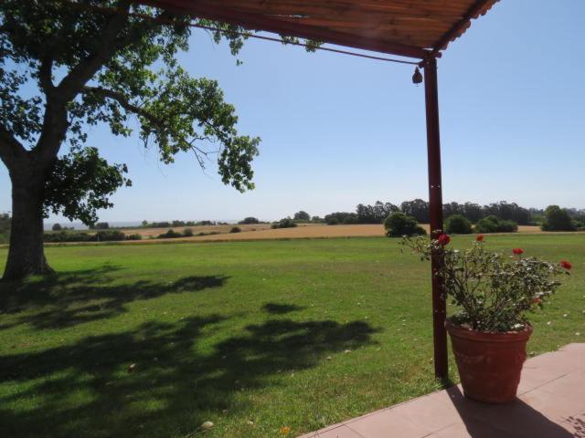 La Casona De San Pedro Villa Colonia del Sacramento Eksteriør billede