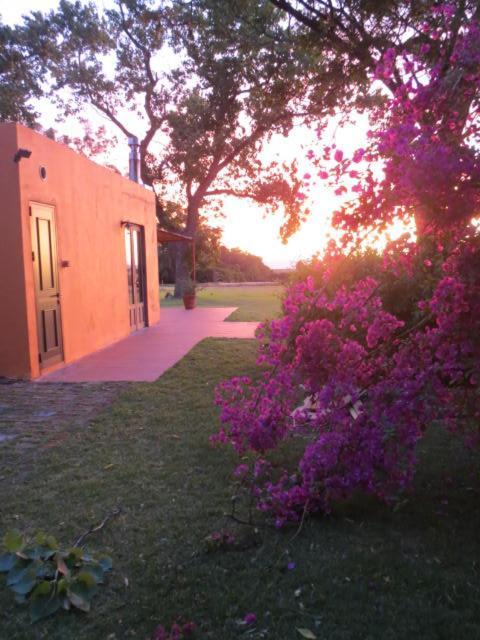 La Casona De San Pedro Villa Colonia del Sacramento Eksteriør billede